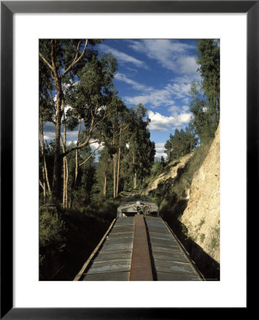 View Of Trees From The Roof Of The Train From Alausi To Riobamba, Ecuador, South America by Mark Chivers Pricing Limited Edition Print image