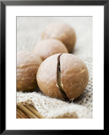 Macadamia Nuts by Frank Tschakert Pricing Limited Edition Print image