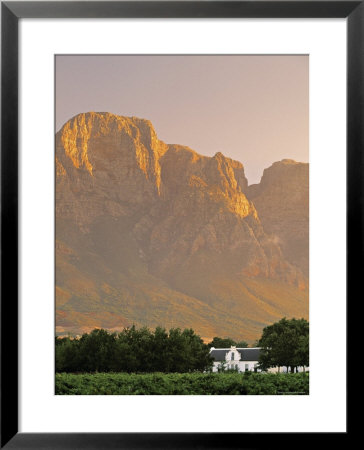 Boschendal Wine Estate, Franschoek, Cape Province, South Africa by Walter Bibikow Pricing Limited Edition Print image