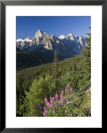 Wildflowers And Valley Of 10 Peaks, Banff National Park, Alberta, Canada by Michele Falzone Pricing Limited Edition Print image