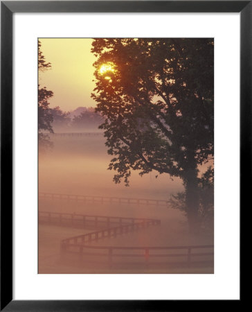 Foggy Sunrise On Horse Farm, Kentucky by Kent Foster Pricing Limited Edition Print image