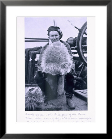David Lille, Biologist Of The 'Terra Nova' With Seliceous Sponges.Scott's Last Expedition by Herbert Ponting Pricing Limited Edition Print image