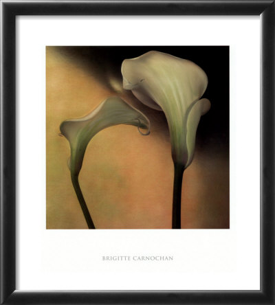 Calla Lily Iii by Carnochan Pricing Limited Edition Print image