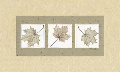 Maples Leaves by Nan Goss Pricing Limited Edition Print image