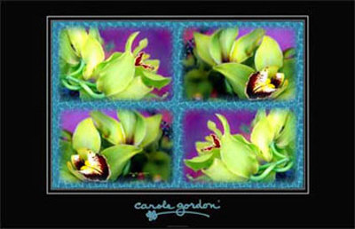 Exotica by Carole Gordon Pricing Limited Edition Print image