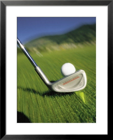 Golf Club And Ball On Fairway by Bob Winsett Pricing Limited Edition Print image