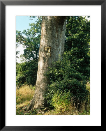 Unusual Garden Enchanted Forest Face Set In Tree Trunk October Groombridge Place, Kent by Sunniva Harte Pricing Limited Edition Print image