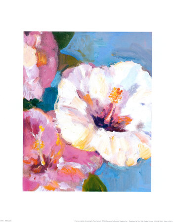 Hibiscus Ii by Paris Gerrard Pricing Limited Edition Print image