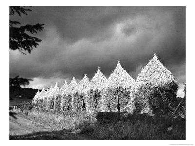 Storm Light On Grain Stacks Not Far From The Bridge Of Cally by Maynard Owen Williams Pricing Limited Edition Print image