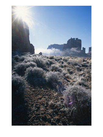 Ice Crystals And Ground Frost In Arches National Park, Utah by Rich Reid Pricing Limited Edition Print image