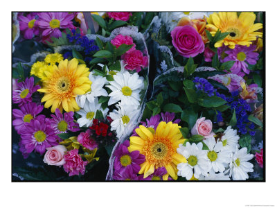 Bouquets Of Colorful Flowers For Sale by Todd Gipstein Pricing Limited Edition Print image
