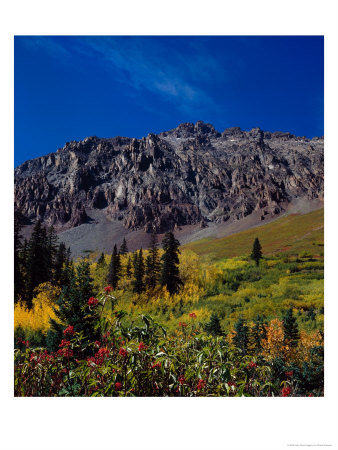 Fall Colors Below Silver Mt, Ophir, Co by Ernest Manewal Pricing Limited Edition Print image