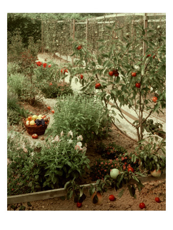 House & Garden - January 1956 by André Kertész Pricing Limited Edition Print image