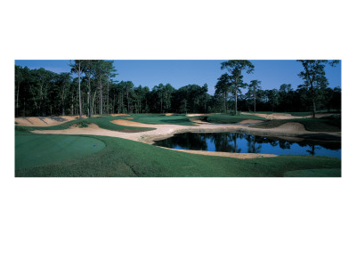 Sand Barrens, Hole 17, Nj by Stephen Szurlej Pricing Limited Edition Print image