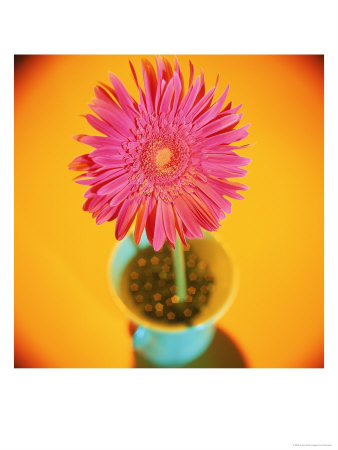 Pink Flower In Green Vase by Vito Aluia Pricing Limited Edition Print image