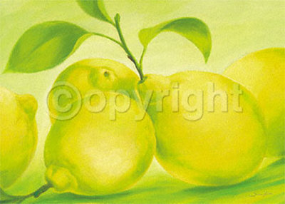Lemon by Susanne Bach Pricing Limited Edition Print image