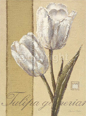 Tulipa by Vivien White Pricing Limited Edition Print image