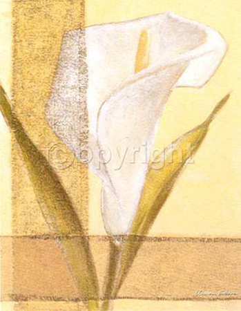 Callas by Vivien White Pricing Limited Edition Print image