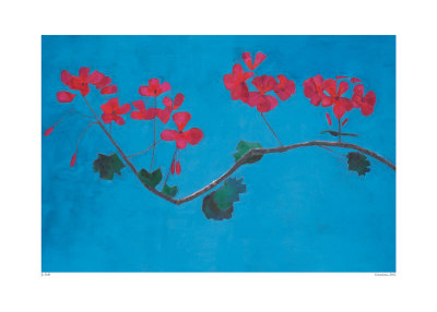 Geranium by Jo Self Pricing Limited Edition Print image