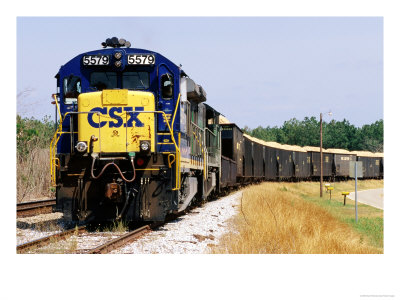 Train Carrying Woodchip Near Banks, Banks, U.S.A. by Oliver Strewe Pricing Limited Edition Print image