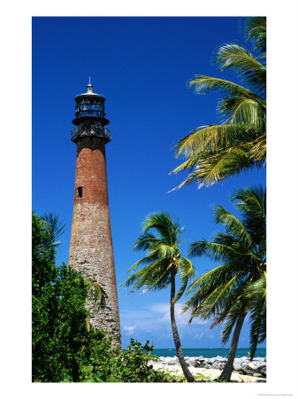 Cape Florida Lighthouse And Palms, U.S.A. by Greg Johnston Pricing Limited Edition Print image