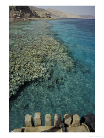 Crystal Clear Waters And Rocky Coastline Of The Red Sea, Egypt by Michele Molinari Pricing Limited Edition Print image