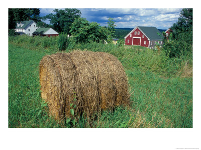 Hay Bale In Field At The Sabbathday Lake Shaker Village, Maine, Usa by Jerry & Marcy Monkman Pricing Limited Edition Print image