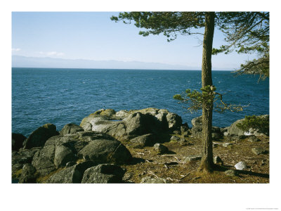 View Of Juan De Fuca Strait From East Sooke Regional Park by Taylor S. Kennedy Pricing Limited Edition Print image