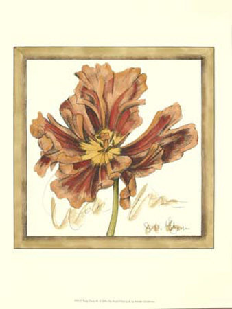 Tulip Study Iii by Jennifer Goldberger Pricing Limited Edition Print image