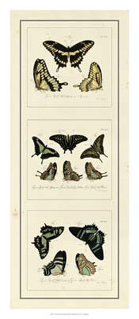 Antique Butterfly Panel Ii by Jablonsk Pricing Limited Edition Print image