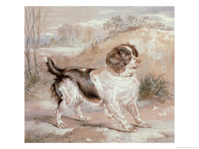 A Spaniel, 1882 by Edwin Henry Landseer Pricing Limited Edition Print image