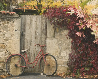 Red Bicycle Near Door by Francisco Fernandez Pricing Limited Edition Print image