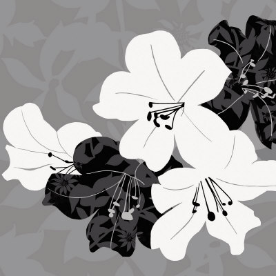 Monochrome Lily Collage by Kate Knight Pricing Limited Edition Print image
