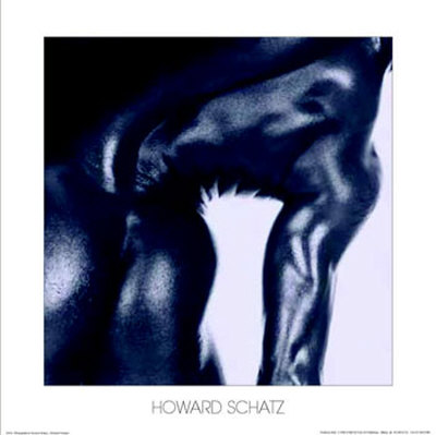 Ebony Nude, Back by Howard Schatz Pricing Limited Edition Print image