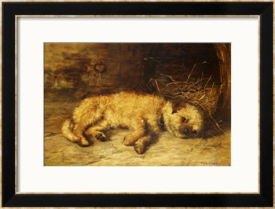 A Border Terrier Puppy by Philip Eustace Stretton Pricing Limited Edition Print image