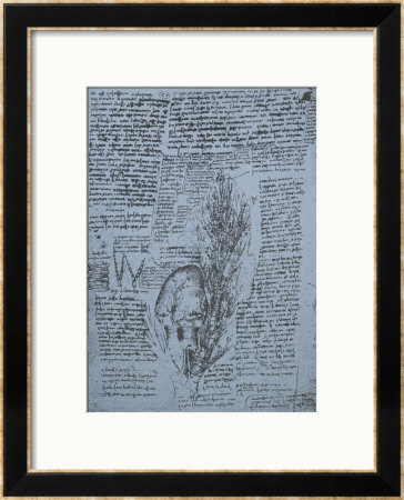 The Heart And The Bronchial Arteries, Facsimile Of The Windsor Book by Leonardo Da Vinci Pricing Limited Edition Print image