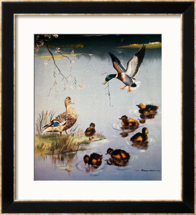 Mallards by Edward Matthew Ward Pricing Limited Edition Print image