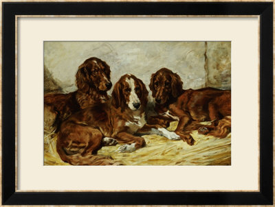 Shot And His Friends, Three Irish Red And White Setters, 1876 by John Emms Pricing Limited Edition Print image