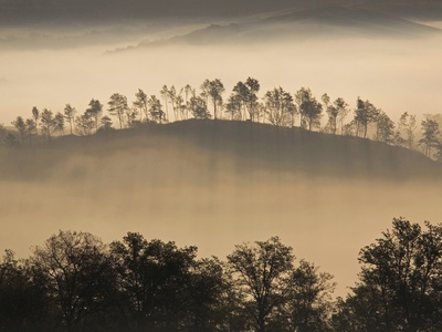 Italy, Tuscany, Foggy Landscape by Fotofeeling Pricing Limited Edition Print image