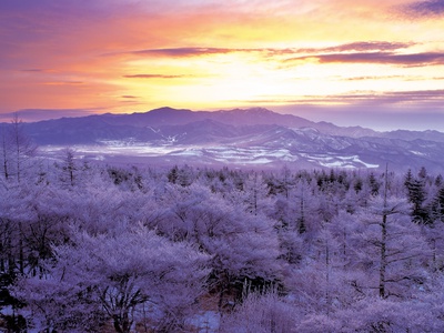 Snowy Landscape by Takashi Komiyama Pricing Limited Edition Print image