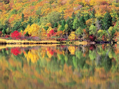 Calm Lake By Forest by Nobuaki Sumida Pricing Limited Edition Print image