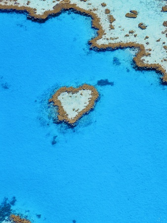 Heart Reef, Great Barrier Reef by Lothar Schulz Pricing Limited Edition Print image