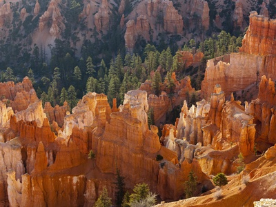 Usa Utah Bryce Canyon National Park Sunrise by Fotofeeling Pricing Limited Edition Print image