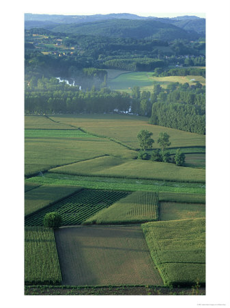 Agricultural Land, France by William Gray Pricing Limited Edition Print image