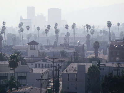Palm Trees And Smog Over Buildings, Los Angeles, Usa by Rick Gerharter Pricing Limited Edition Print image