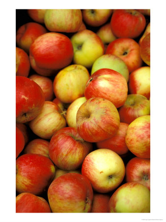 Apples, Ferry Building Farmer's Market, San Francisco, California, Usa by Inger Hogstrom Pricing Limited Edition Print image