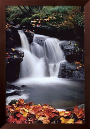 Waterfall by Ronald Weir Pricing Limited Edition Print image