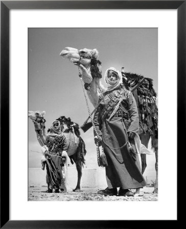 Arab Soldiers Standing Guard With Their Camels by John Phillips Pricing Limited Edition Print image