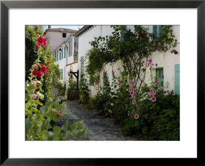 Hollyhocks Lining A Street With A Well, La Flotte, Ile De Re, Charente-Maritime, France, Europe by Richardson Peter Pricing Limited Edition Print image