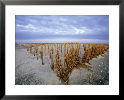 Beach In The Early Morning, Darss, Mecklenburg-Vorpommern, Germany by Thorsten Milse Pricing Limited Edition Print image